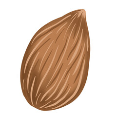 Almond nut with choclate color transparent