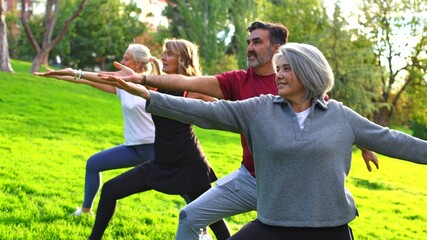 Seniors group practicing yoga warrior pose outdoors