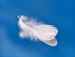 Naklejka premium Delicate white feather drifting against a clear blue sky