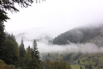 Picturesque view of mountains, forest and fog on cloudy day