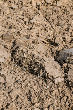 Agriculture en automne charrue
