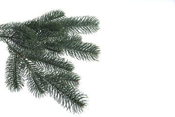 Naklejka premium Branch of artificial fir tree on white background, space for text. Christmas decor