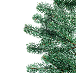 Fototapeta premium Branch of artificial fir tree isolated on white. Christmas decor
