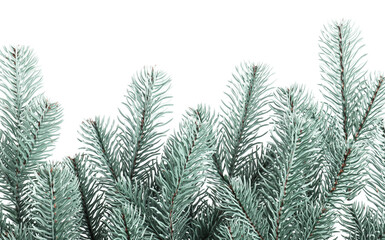 Branch of artificial fir tree isolated on white. Christmas decor