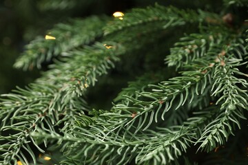 Branches of artificial Christmas tree against bokeh lights, closeup