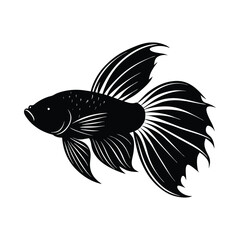 Black betta fish silhouette with flowing fins on white background vector