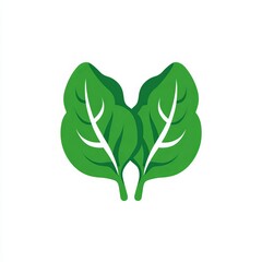 Fresh green spinach leaves, ideal for salads or healthy eating, offering a vibrant and healthy visual