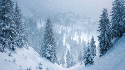 Obraz premium snow falling on winter forest mountain