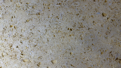 Light Beige Fossiliferous Limestone Texture Background with Visible Grains