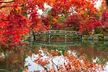 禅林寺（永観堂）の放生池と紅葉