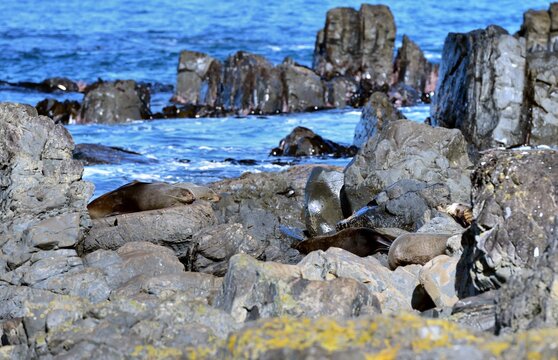 Becareful those rocks move