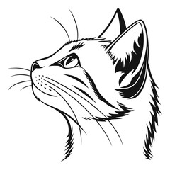 cat head on white background