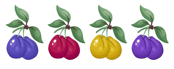Plum icon set. Various plums on branch with leaves isolated on white background. Fruits stickers. Sweet healthy vitamin close up. Vector illustration for packaging, print, organic food, clipart