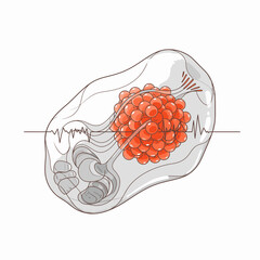 An intricate biological illustration showcasing a cellular structure with a vibrant red cluster, complex internal components, and an active waveform, symbolizing health and research.