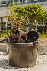 Sadzenie roślin ozdobnych © Studio Migafka