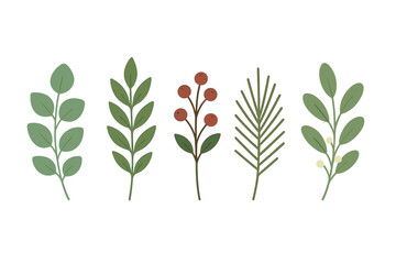 Minimalist collection of green leaves, pine needles, and red berries botanical elements