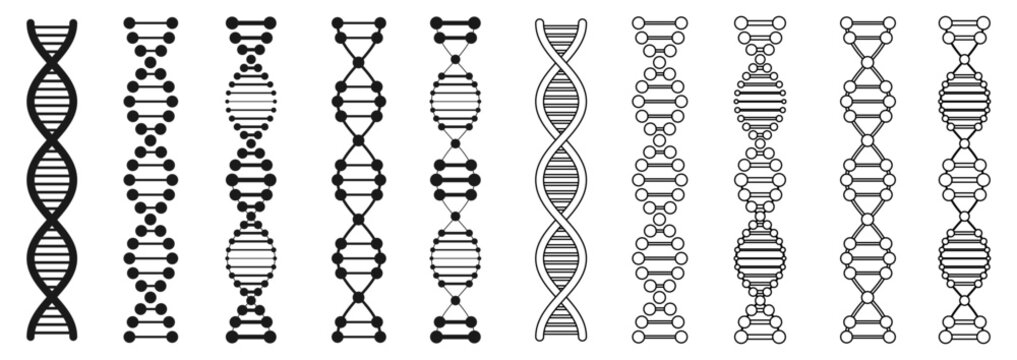 dna icon set vector illustration isolated on white background.