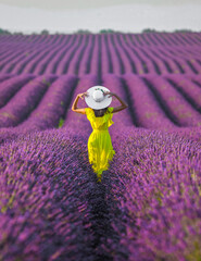 Woman in the Yellow Dress in a Lavender Garden Photo, Provence Valensole, France (Fransa)
