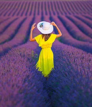 Woman in the Yellow Dress in a Lavender Garden Photo, Provence Valensole, France (Fransa)