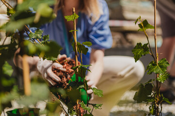 Sadzenie roślin ozdobnych © Studio Migafka