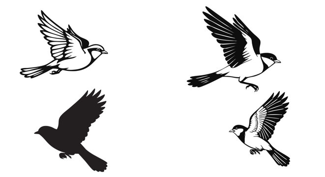 Four detailed vector illustrations of a great tit bird in flight on white background