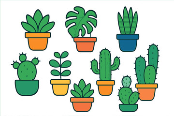 Colorful potted succulents, tropical plants, and desert cacti assortment on white backdrop