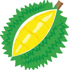 durian isolated on white background.Vector illustration cartoon