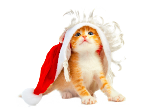 Celebrate the magic of the holiday season with our adorable collection of Christmas animals! This festive design captures the warmth and joy of wintertime, featuring cute