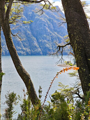 A beautiful view of a lake with trees in the background