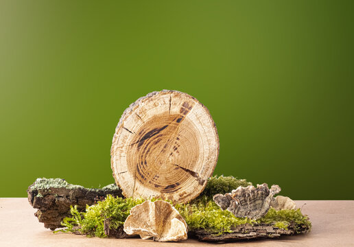 Natural wooden podium with moss and bark on deep green gradient background. Perfect for eco product presentations, cosmetics branding, or wellness advertising. copy space
