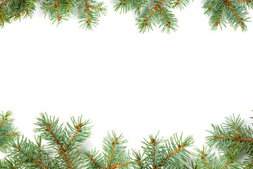 Pine top bottom border festive design