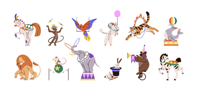Set of circus animals. Happy horses, juggling monkey, tiger jumping through fire, cute elephant with hoops, bear on unicycle for cirque performance, show. Flat isolated vector illustrations on white