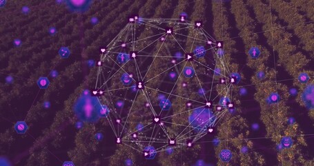 Hovering digital network sphere glowing above orchard, with interconnected social media IoT icons