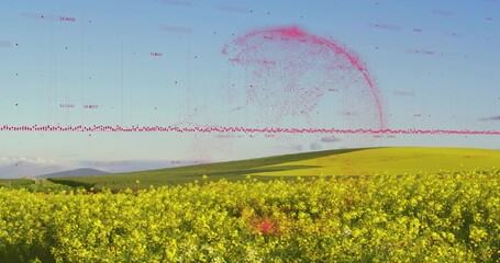 Fototapeta premium Covering farmland, yellow flowering crops extending toward green hills, with red data overlay