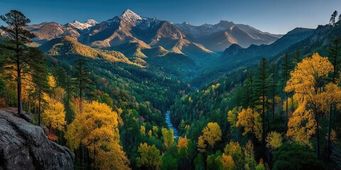 A wide panoramic view of a mountain valley filled with dense forest