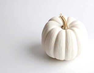 Elegant White Pumpkin on White Background for Fall Decor.
