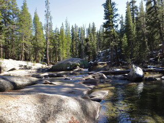 Yosemite National Park sights and landscapes.