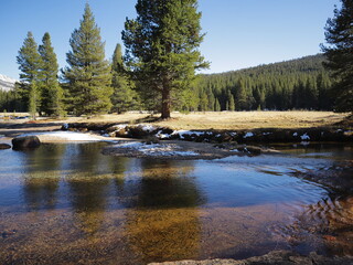 Yosemite National Park sights and landscapes.