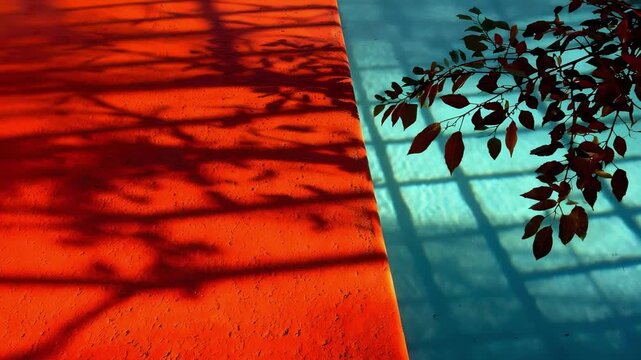Shadows of tree branches across a two-tone wall: orange on the left and blue on the right, with a leafy silhouette on the blue section.