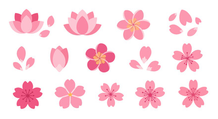 Pink Flower Blossom Collection - Cherry, Lotus, and More.