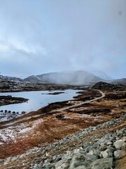  Norway with a shade of brown 