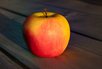 Red and yellow zari apple fruit, isolated