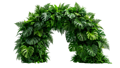 Lush green archway crafted from various tropical leaves against a transparent backdrop