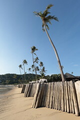 Wooden barrier made of fallen palm trunks separating the sandy beach from the sea, protecting a hotel resort with tall palm trees in the background, Thailand