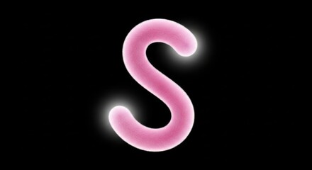 A vivid pink letter S glows softly against a black backdrop, radiating light and color in an artistic display. This captivating design invites creativity and imagination.