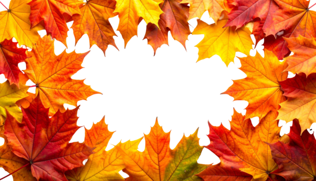 Colorful autumn leaves forming a border around a black, central void