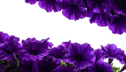 Vivid purple flowers adorn top and bottom borders, framing a black space