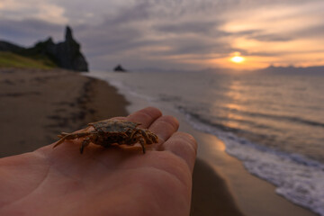 Crab resting on a hand as the sun sets over a serene Russian coastline