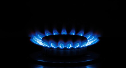 Intense blue flame emerges from a gas burner, providing essential heat for various household applications and industrial processes ,controlled ,energy ,hot