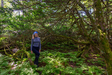 Fototapeta premium Exploring the enchanting forest depths in Russia during a calm afternoon